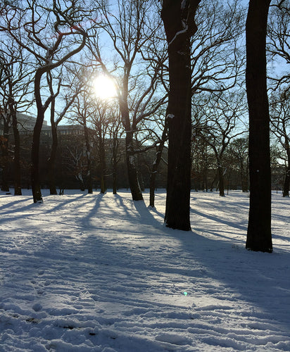Fashion Week Bites - Berlin FW16