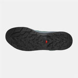 X-ALP LTR - Bistro Green/Stormy Weather/Black