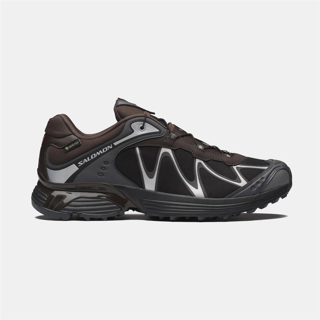 XT-WHISPER GTX - Delicioso/Asphalt/Clrock